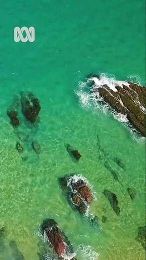 Beautiful beaches – Sapphire Coast, New South Wales | Nature Escapes | ABC Australia