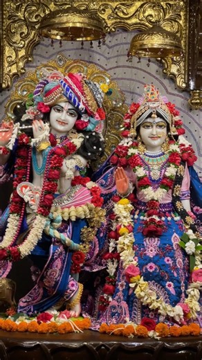 😱🙏Today's Radha Govinda Darshan। 🌹আজকের রাঁধা গোবিন্দের অপরূপ দর্শন#iskcon