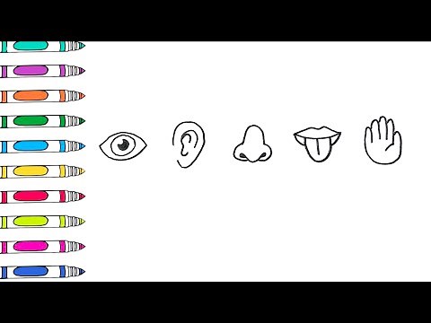 Learn to Draw Body Parts Step by Step!