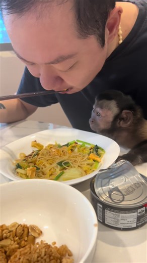 Loves food, but always waits. That’s Capu.#cute #love | Animals Eating Food