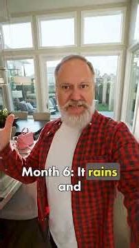 Window Replacement Service #homeimprovement #homerepair #windowreplacement