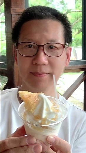 雲林 古坑綠色隧道 蜜蜂故事館