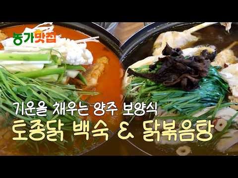 기운을 채우는 양주 보양식…토종닭 백숙&닭볶음탕