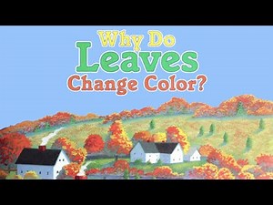 WHY DO LEAVES CHANGE COLOR? - Kids Stories Read Aloud | Childrens Read Along | Bobby's Backyard