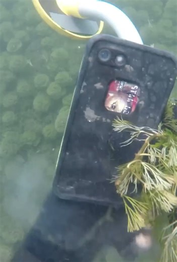 I Found an iPhone 8 After It Was Underwater for 1 Year | Man River