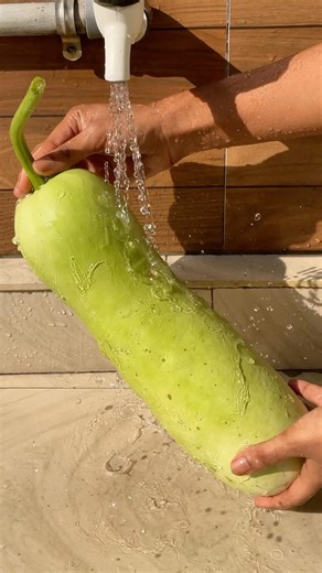 Cheranga juice or bottle gourd milk drink