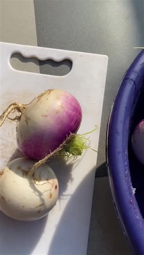 Authentic Punjabi Style Turnip Recipe