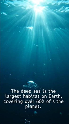 Things You Didn't Know About the Deep Sea