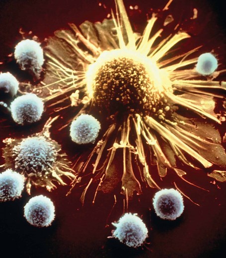 Immunotherapy Biomarkers | Cancer Research Institute