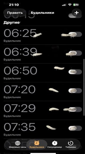 ˗ˏˋ(∩╹□╹∩)ˎˊ˗ (@rennurd)’s videos with Alarm clock alarm sound _ 15 seconds loop(68195) - KK