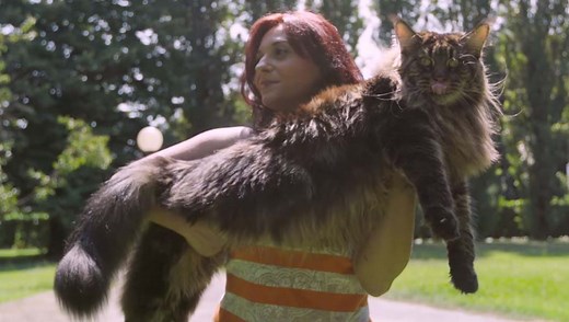 イタリアに住む猫、「最も長い猫」としてギネス世界記録に認定