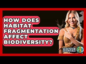 How Does Habitat Fragmentation Affect Biodiversity? - Ecosystem Essentials