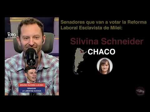 UNO POR UNO, LOS S0RETES DEL SENADO QUE VAN A APROBAR LA REFORMA LABORAL ESCLAVISTA.