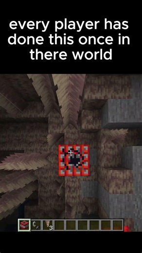 Every Minecraft Player Has Done This Once...