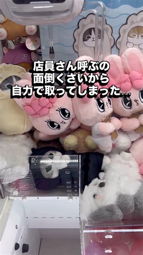 GET君🕹️🧸クレーンゲーム攻略 | 【ディスプレイ取り】２つGET❣️皆んなエスターキムさん知ってた？ #クレーンゲーム #ufoキャッチャー #ゲーセン #clawmachine #cranegame #인형뽑기 #エスターバニー #estherbunny | Instagram