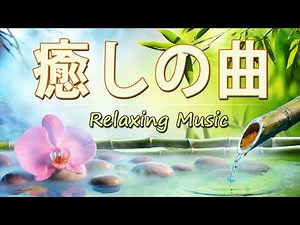 自然の音とともに音楽をリラックス バンブーウォーターファウンテン 【癒し音楽BGM】| Relaxing Piano Music, Water Sounds, Calm Music