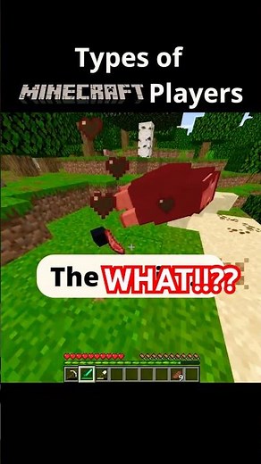Types of Minecraft Players!