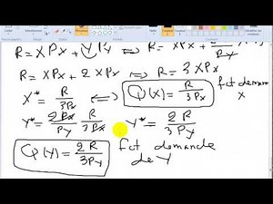 Microéconomie S1 partie 27 : Exercice N° 3