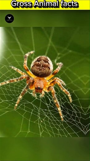 Gross Animal Facts #shorts