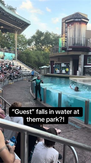 Everyone Thought This Guest Fell Into the Water