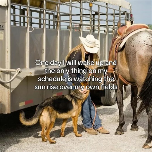 Waking Up to Sunrise Over My Fields