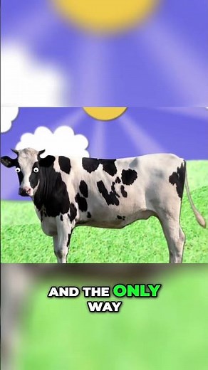 Cows and Climate Change The Methane Problem Explained