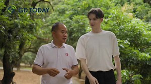 11K views · 71 reactions | #Guangdong | Where to find lychee trees over 1300 years old? Which types of lychee taste better? How local people make various products with lychee? Let's explore #China’s No.1 town for lychee with New Yorker and GDToday correspondent, Carson. #Maoming #Guangdong Read more: https://www.newsgd.com/node_99363c4f3b/f5fb28c93f.shtml #food #fruit #travel | The South | Facebook