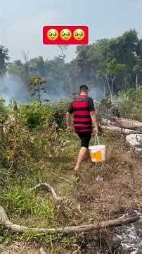 Amazônia