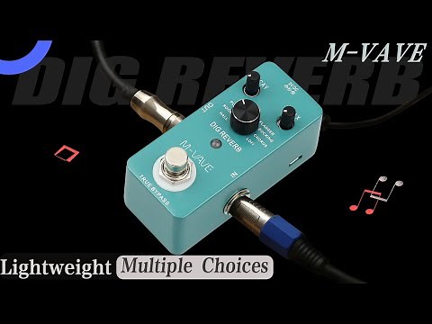 Effect display of Dig Reverb effector