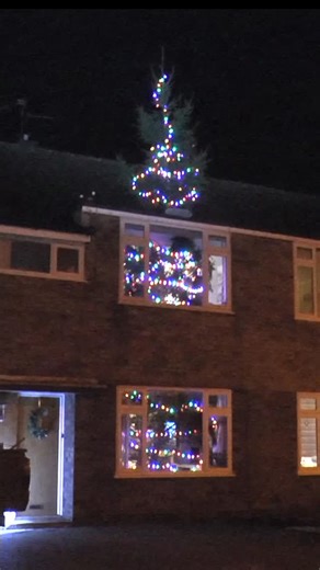 colin furze on Instagram: "She said get a nice BIG Tree…… #colinfurze #xmas #bigtree"