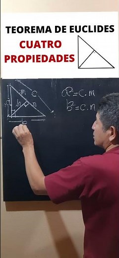 4 propiedades del teorema de euclides.