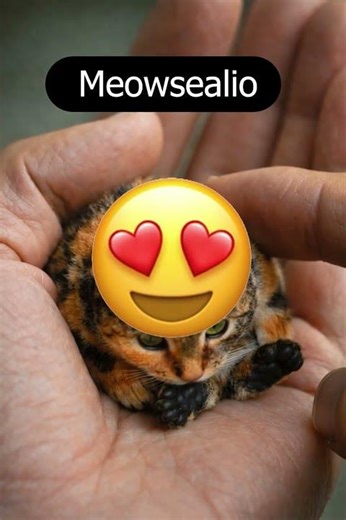 😱😱POV: was für ein tier ist das????????