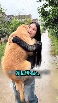 雨の日に捨て犬を拾った女性の末路 「一か月だけ」のはずだった犬