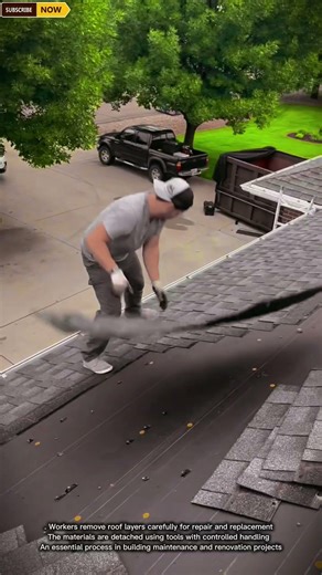 Workers Removing Roof Layers for Renovation and Safe Building Maintenance Work