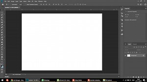 Microsoft Digital Art Software
