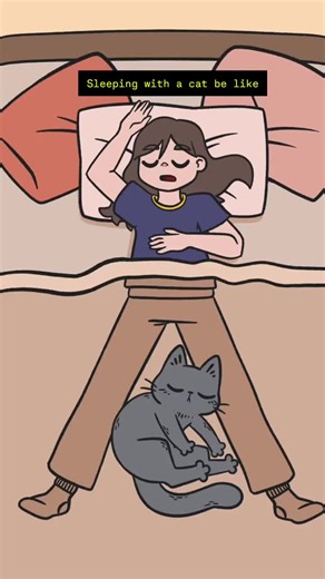 PAWS LOVE (@pawslovedaily)’s videos with original sound - PAWS LOVE