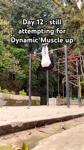 Day 12 of learning Dynamics Muscle up still failing 💔 #muscleups #calisthenics #workoutshorts