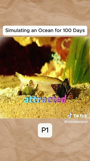 100 Day Ocean Terrarium Ecosystem Simulation | Dr. Plants