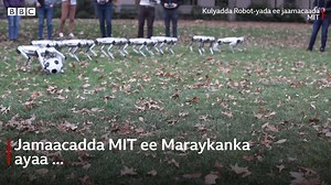 Qalabkan casriga ah wuxuu ku jiraa heerkii tijaabada, balse waxaa laga rajo qabaa in uu qabto hawshii bini'aadamka. | BBC News Somali