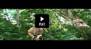 Aztec Rex (2007) / Film actiune / 86 minute