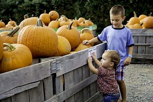 FALL FAMILY FUN - Almost Heaven - West Virginia