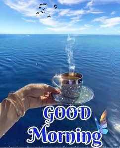 Coffee GIF'S and More on Reels