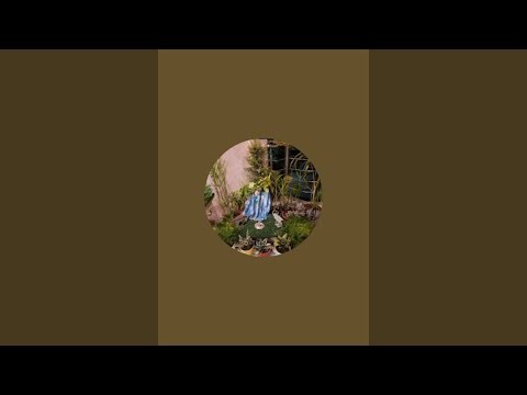 Dream Garden is live garden visit & summer care tips