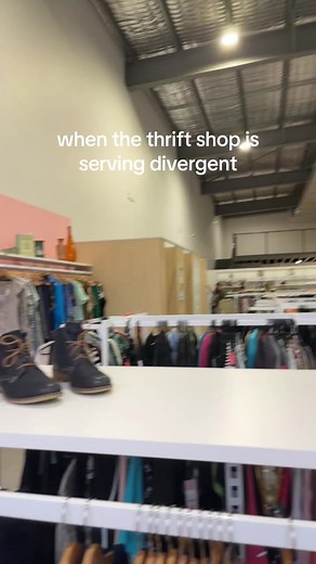 Divergent Factions: Understanding the Five Groups