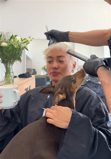 Bleach Girls Enjoying Blonde Transformations