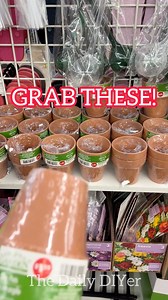 766K views · 6.3K reactions | 華Cute ways to use Dollar Tree Flower Pots! #dollartree #dollartreediy #dollartreecrafts #dollartreehacks #dollartreefinds #dollartreehaul #dollartreecommunity #dollartreeobsessed #diy #thedailydiyer | The Daily DIYer | Facebook