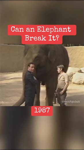 Gita the elephant tests truth in advertising on Fight Back! With David Horowitz in the ’80s. #80s #retro #nostalgia #tv | Watch Fight Back