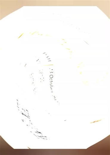 Mr, Miss and Miss TUT Plus Size 2025/2026 Event