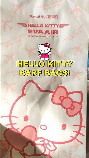 Flying on the Hello Kitty Plane ✈️