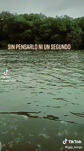 Eres la Mujer que más me Gusta en el Mundo - Alejandro Fernández